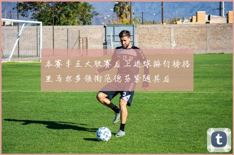 本赛季五大联赛后卫进球排行榜格里马尔多领衔范德芬紧随其后